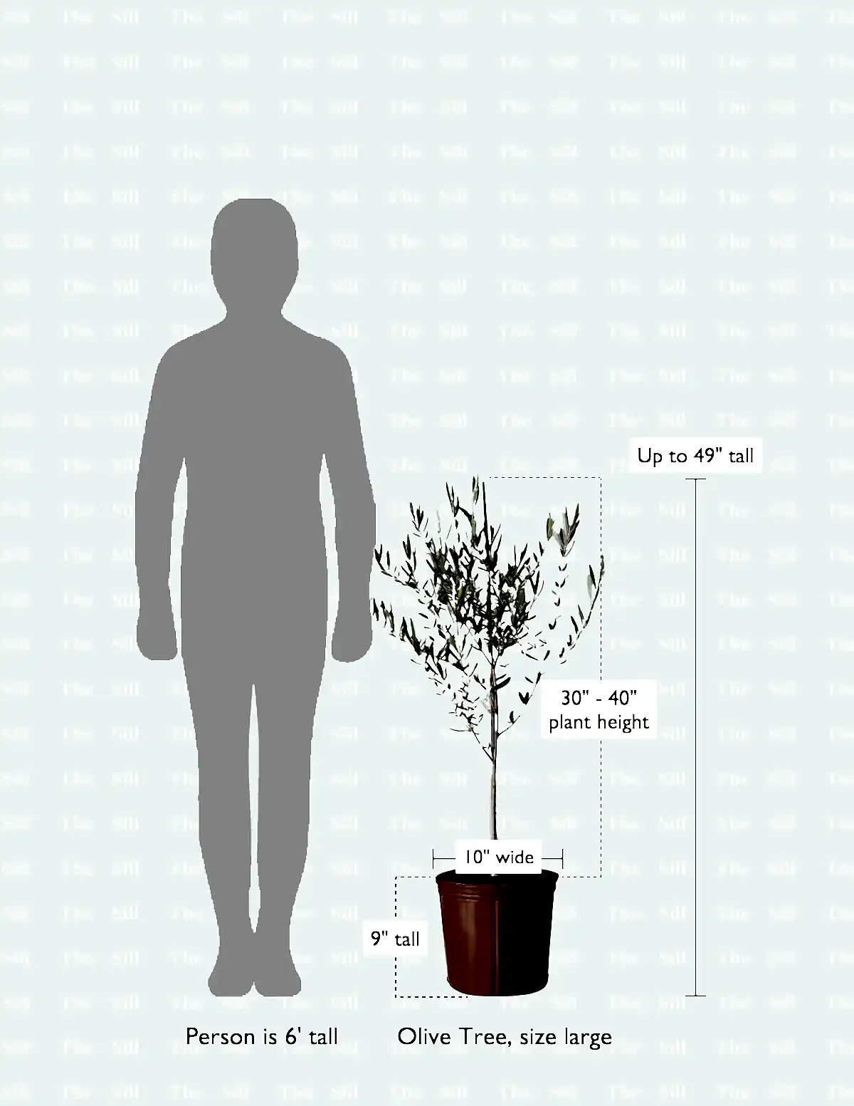 size-guide