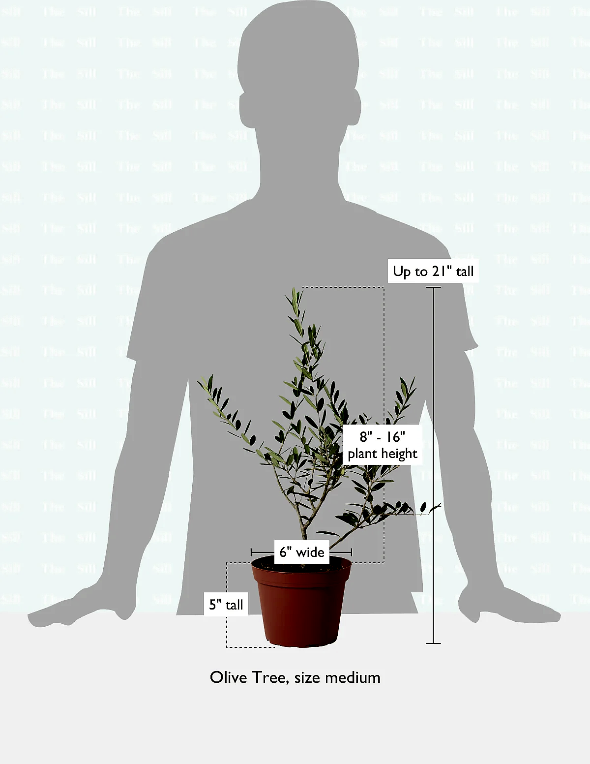 size-guide